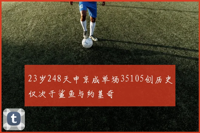 23岁248天申京成单场35105创历史仅次于鲨鱼与约基奇
