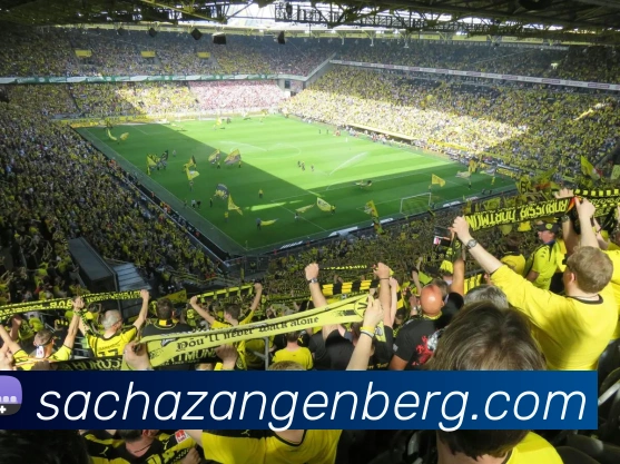 赛事专题整合