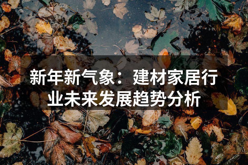 新年新气象：建材家居行业未来发展趋势分析